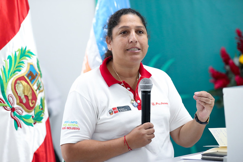 MINAM: LA MEJOR ESTRATEGIA PARA ENFRENTAR LA MINERÍA ILEGAL ES PROMOVER EL DESARROLLO