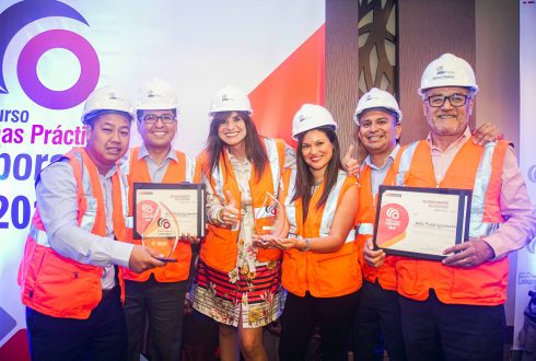 GOLD FIELDS OBTIENE EL PREMIO