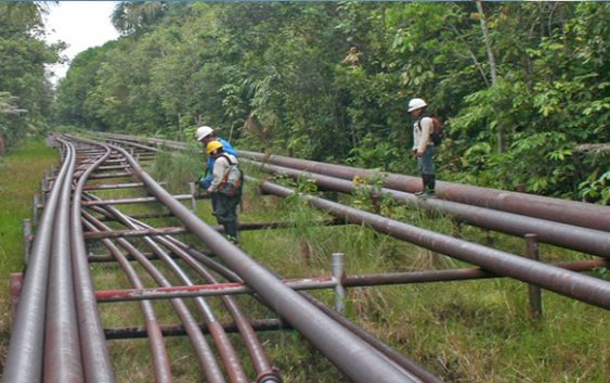 PETROPERÚ SE PLANTEA PARAR SU OLEODUCTO SI NO MEJORA PRODUCCIÓN Y SEGURIDAD