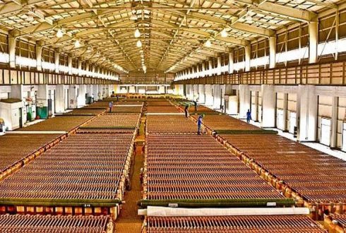 SNMPE: EXPORTACIONES DE ORO CRECIERON EN 8.3% EN ENERO DE 2020