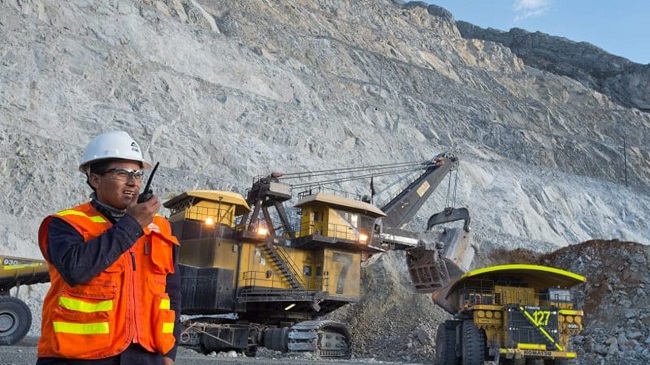 ANTANIMA PONE EN MARCHA PLAN PREVENTIVO Y PROTOCOLO DE RESPUESTA